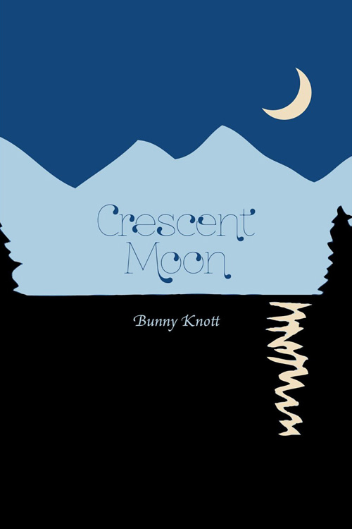 crescent moon cover